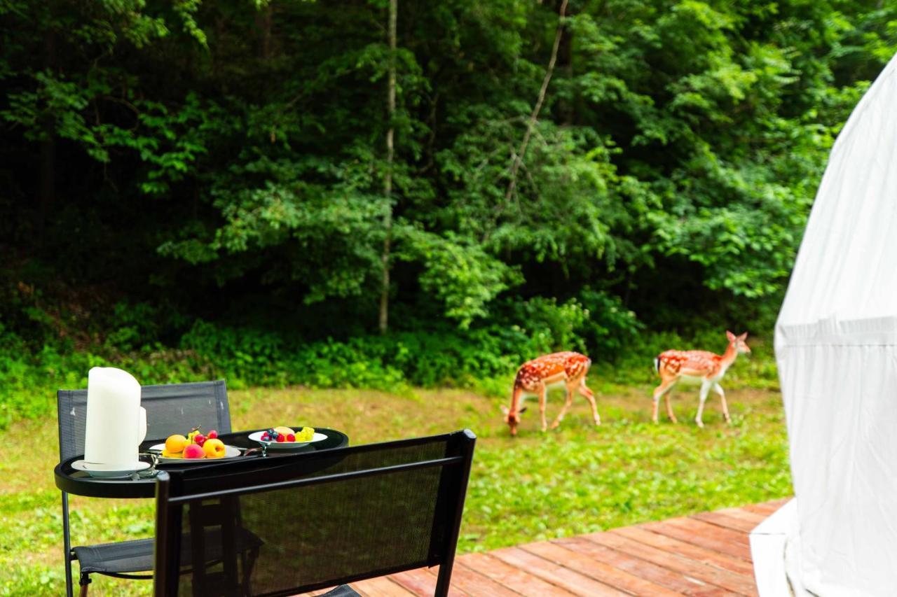 Solace Glamping 2 Sevierville Eksteriør bilde